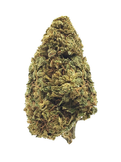 Échantillon Amnesia (Copie)